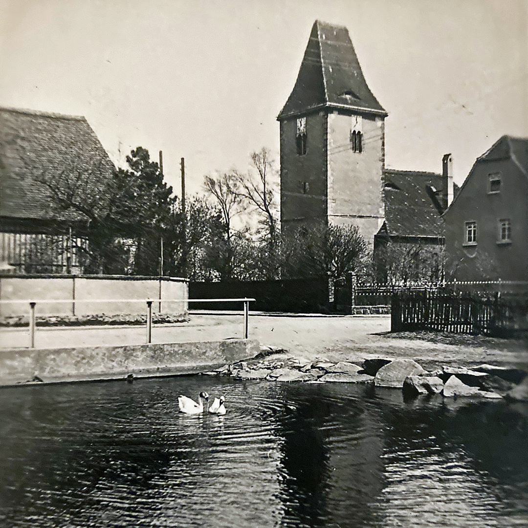 Dorfteich Lausen im Dezember 2021