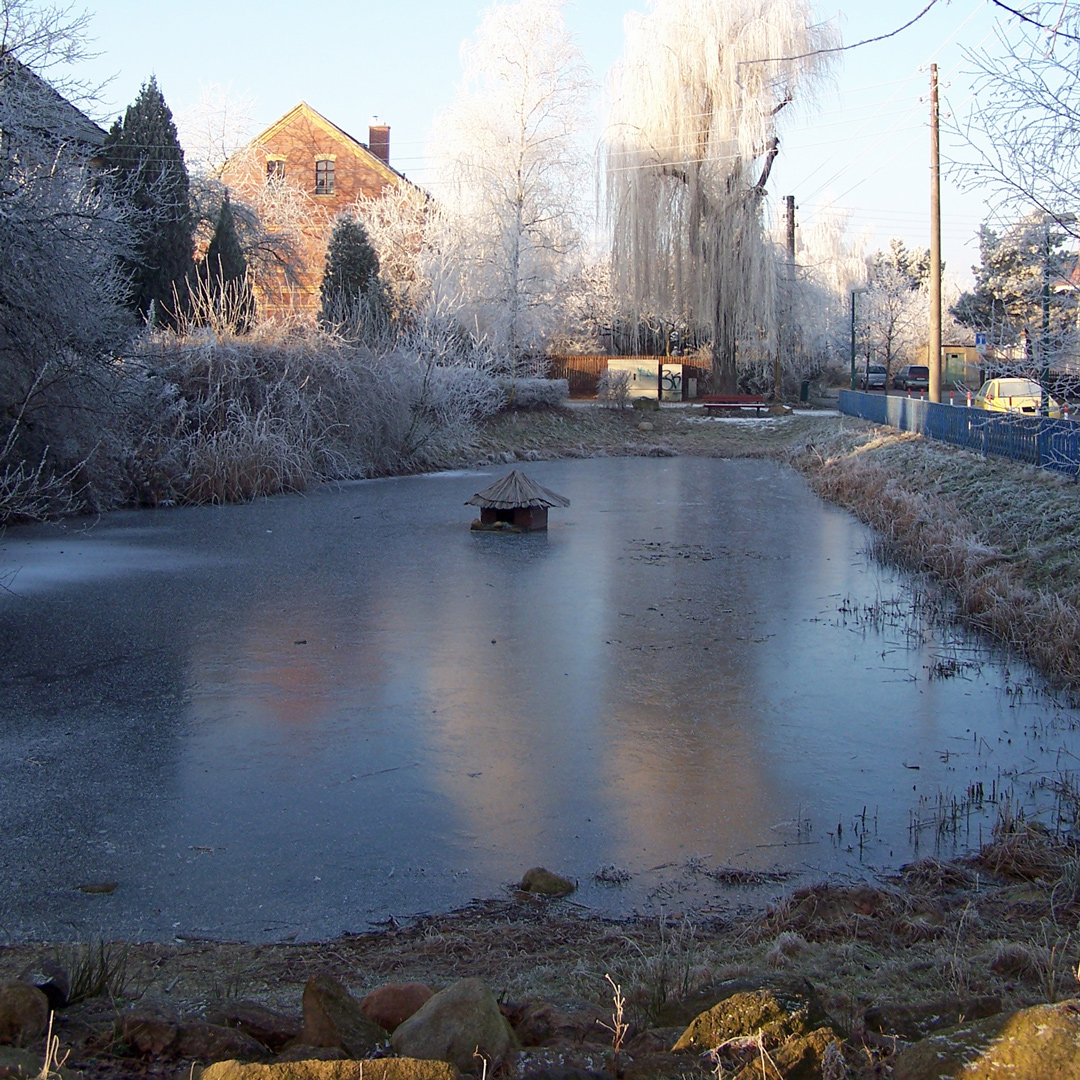 Dorfteich Lausen im Dezember 2007