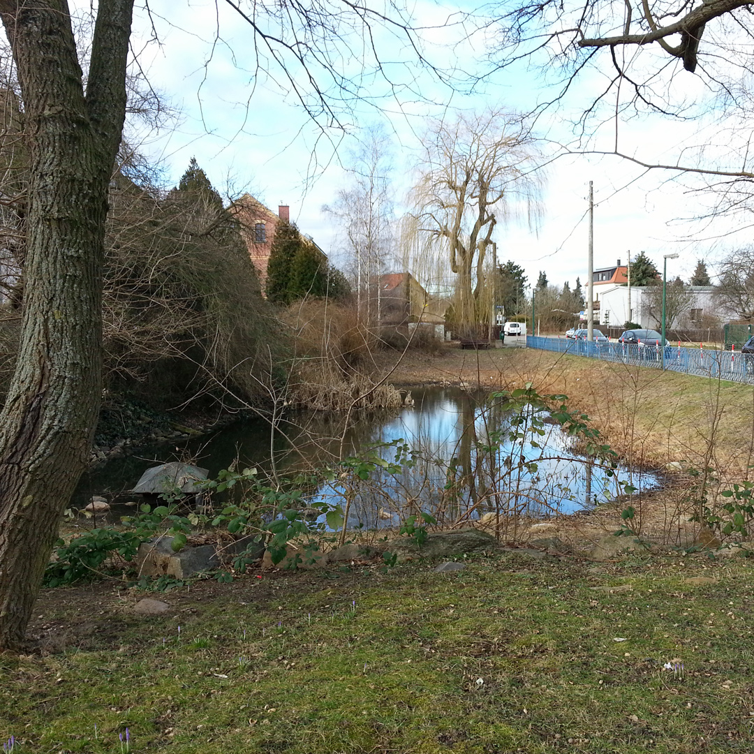 Dorfteich Lausen im Februar 2014