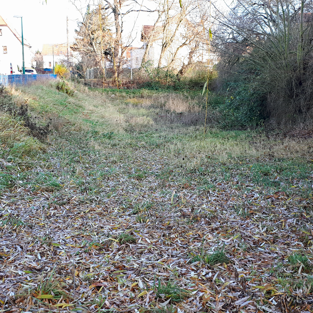 Dorfteich Lausen im Dezember 2021