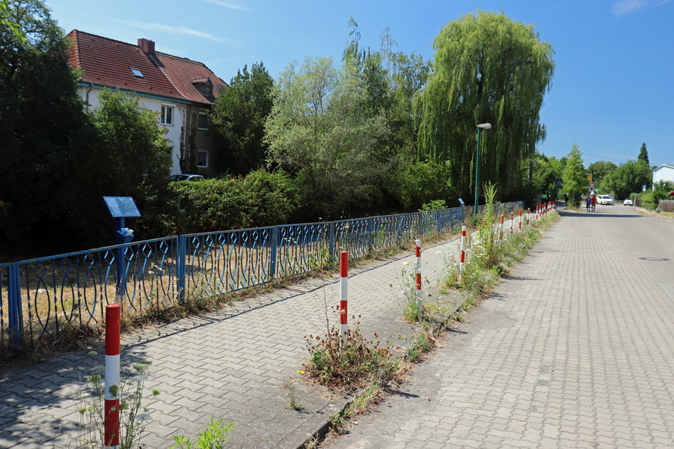 Blick von der Staffelsteinstraße auf den Dorfteich Lausen am 24.07.2022. Gut zu erkennen, im Bereich der Bordsteinkante sprießt das Unkraut reichlich.